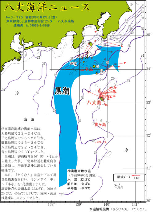 2021年6月25日八丈海洋ニュース