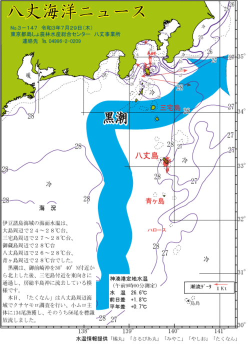 2021年7月29日八丈海洋ニュース