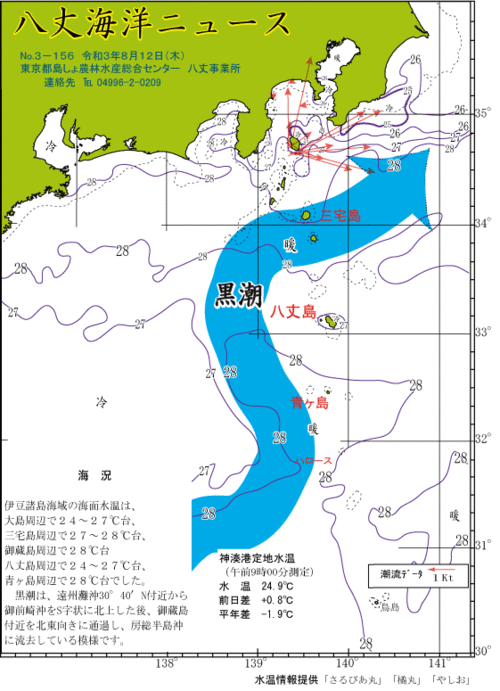 2021年8月12日八丈海洋ニュース