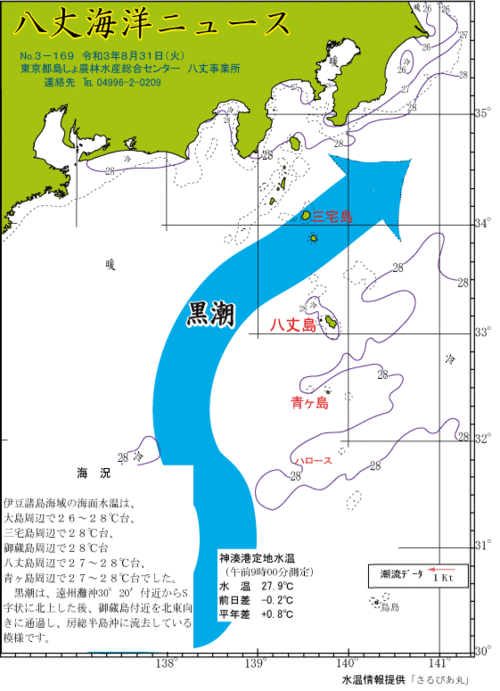 2021年8月31日八丈海洋ニュース