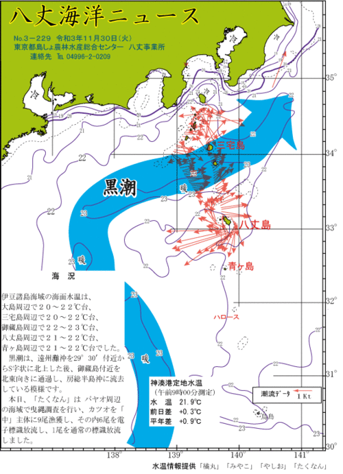 2021年11月30日八丈海洋ニュース