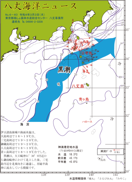 2022年3月3日八丈海洋ニュース