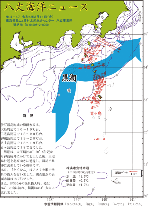 2022年3月11日八丈海洋ニュース