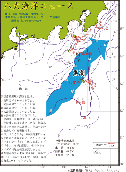 2022年3月22日八丈海洋ニュース