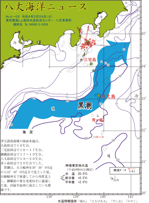 2022年3月29日八丈海洋ニュース