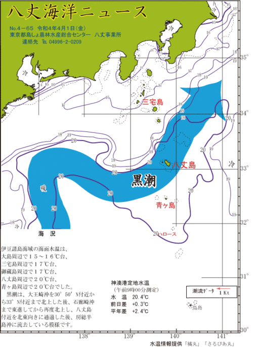 2022年4月1日八丈海洋ニュース