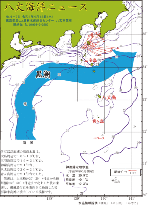 2022年4月13日八丈海洋ニュース