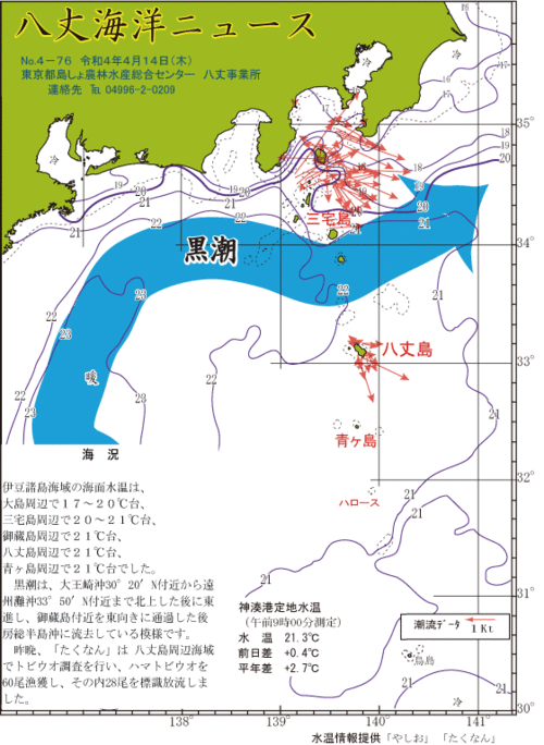 2022年4月14日八丈海洋ニュース