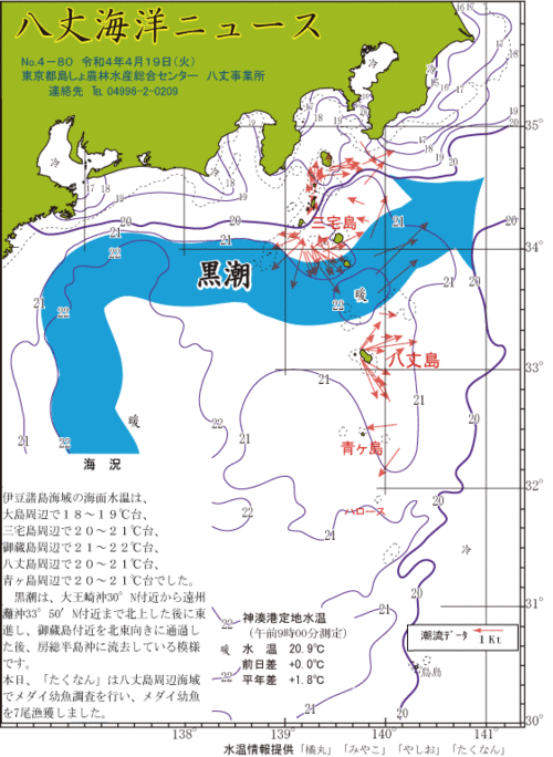2022年4月19日八丈海洋ニュース