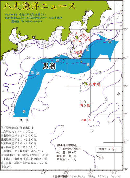 2022年4月28日八丈海洋ニュース