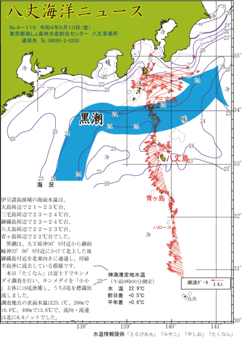 2022年6月10日八丈海洋ニュース