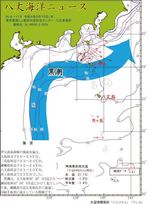 2022年6月15日八丈海洋ニュース