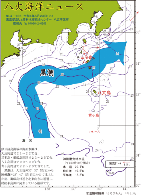 2022年6月23日八丈海洋ニュース