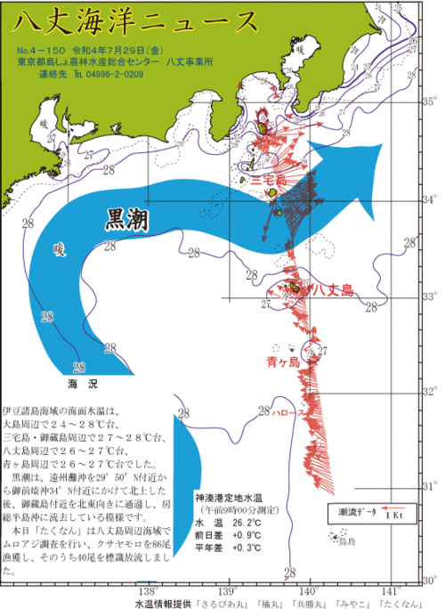 2022年7月29日八丈海洋ニュース