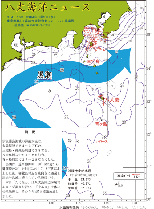 2022年8月3日八丈海洋ニュース