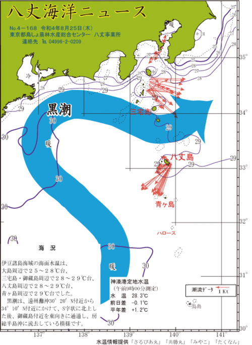 2022年8月25日八丈海洋ニュース