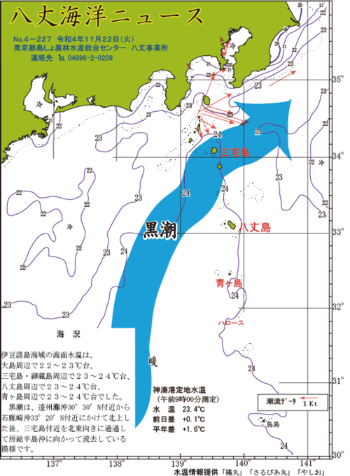 2022年11月22日八丈海洋ニュース