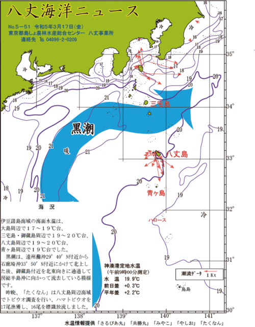 2023年3月17日八丈海洋ニュース