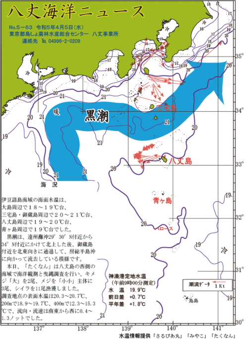 2023年4月5日八丈海洋ニュース