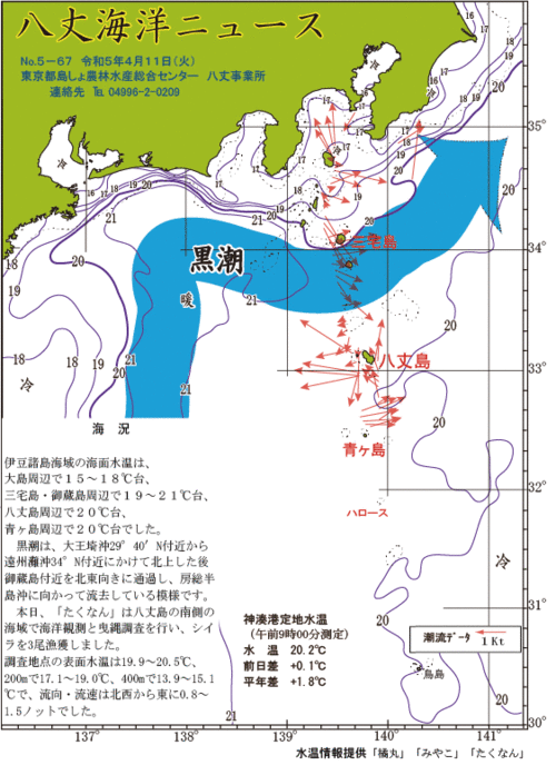 2023年4月11日八丈海洋ニュース