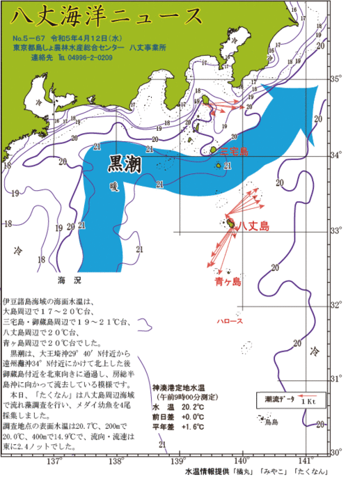 2023年4月12日八丈海洋ニュース