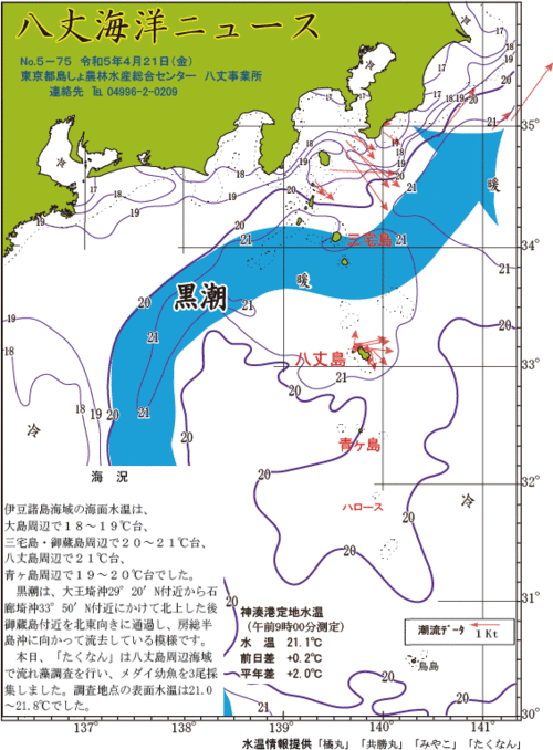 2023年4月21日八丈海洋ニュース