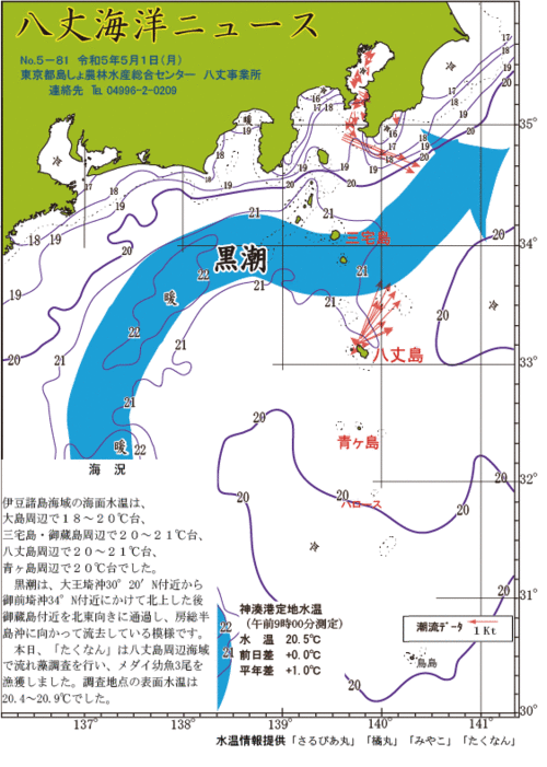 2023年5月1日八丈海洋ニュース