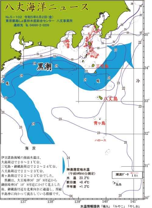 2023年6月2日八丈海洋ニュース