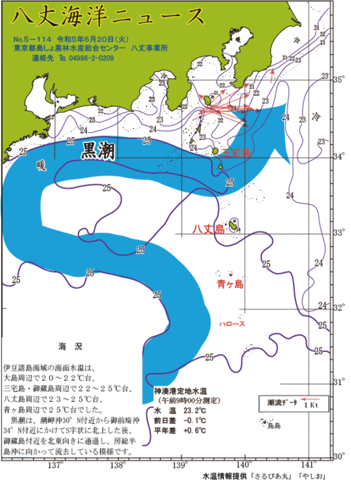 2023年6月20日八丈海洋ニュース