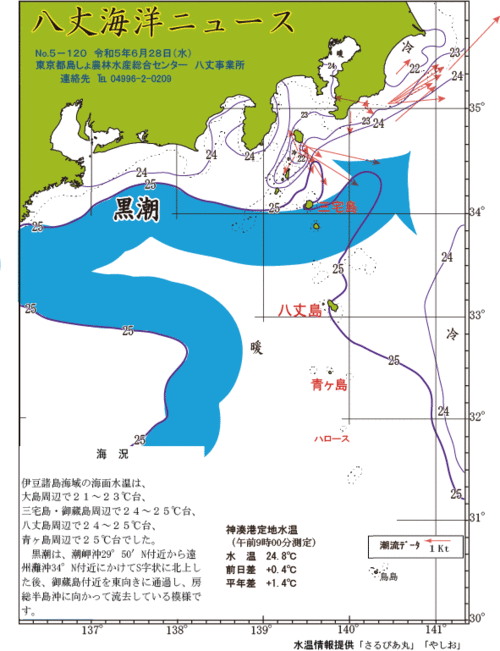 2023年6月28日八丈海洋ニュース