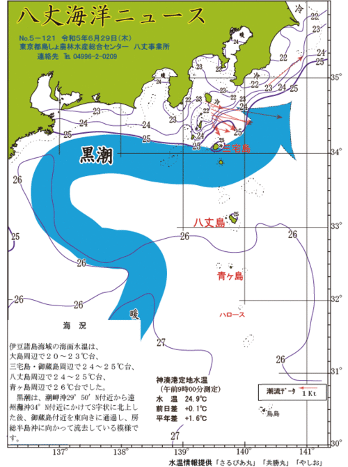 2023年6月29日八丈海洋ニュース