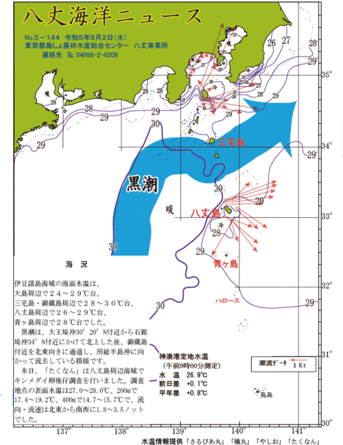 2023年8月2日八丈海洋ニュース