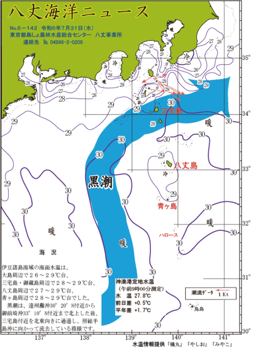 2024年7月31日八丈海洋ニュース