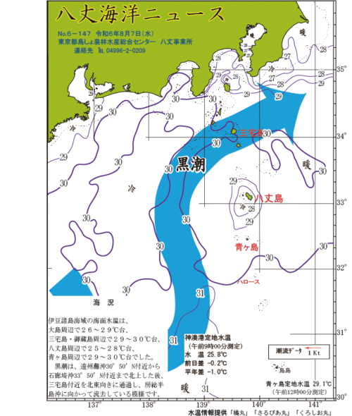 2024年8月7日八丈海洋ニュース