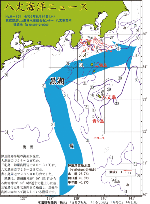 2024年8月14日八丈海洋ニュース