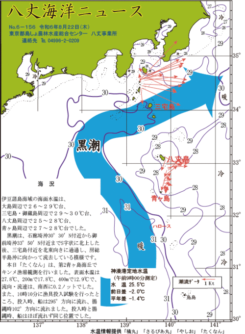 2024年8月22日八丈海洋ニュース