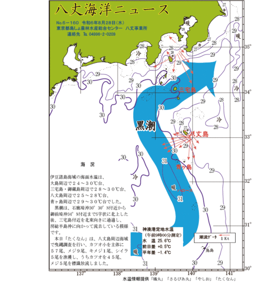 2024年8月28日八丈海洋ニュース