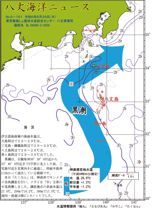 2024年8月29日八丈海洋ニュース