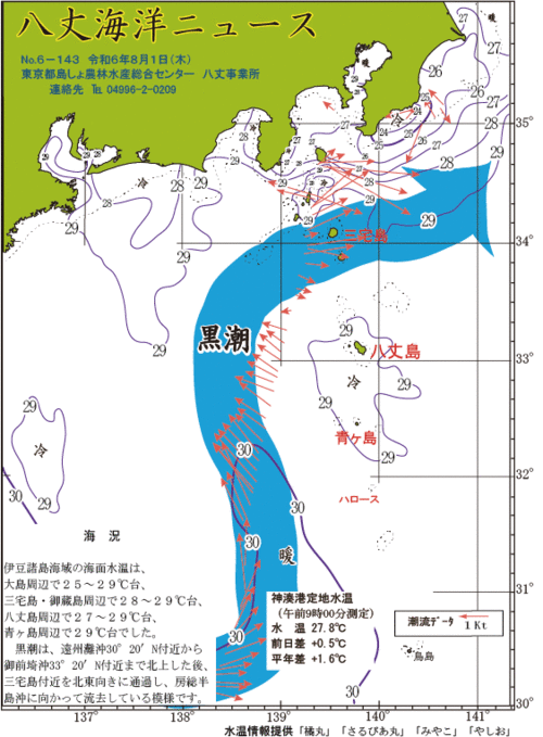 2024年8月1日八丈海洋ニュース