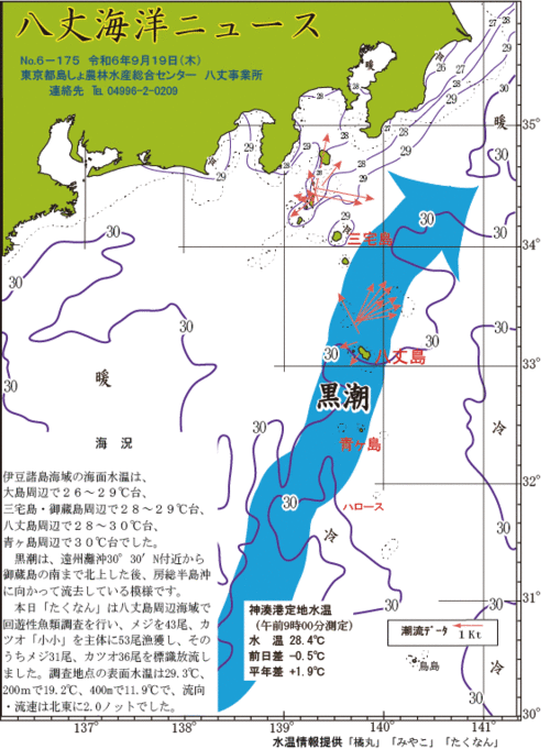 2024年9月19日八丈海洋ニュース