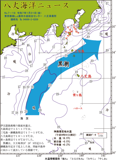 2025年1月31日八丈海洋ニュース