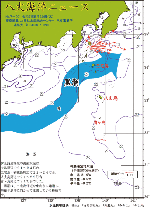 2025年5月29日八丈海洋ニュース