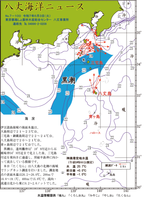 2025年6月3日八丈海洋ニュース