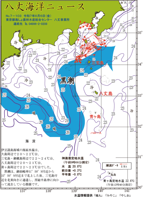 2025年6月6日八丈海洋ニュース