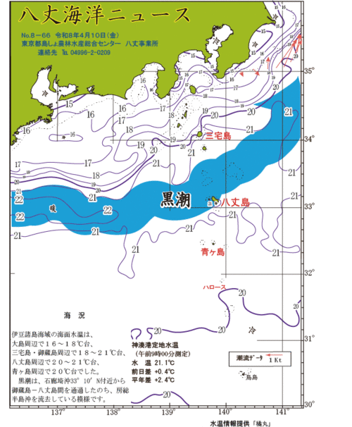 2026年4月10日八丈海洋ニュース