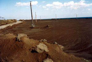 �e���O�T����