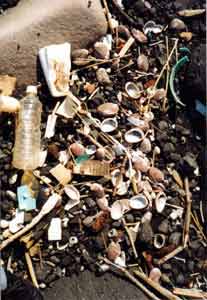 �ؓc�ŏグ�L�ނP