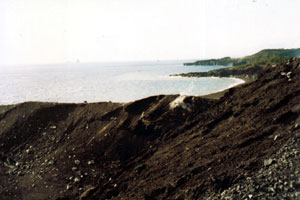 �V�@�V������t��