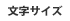 文字サイズ