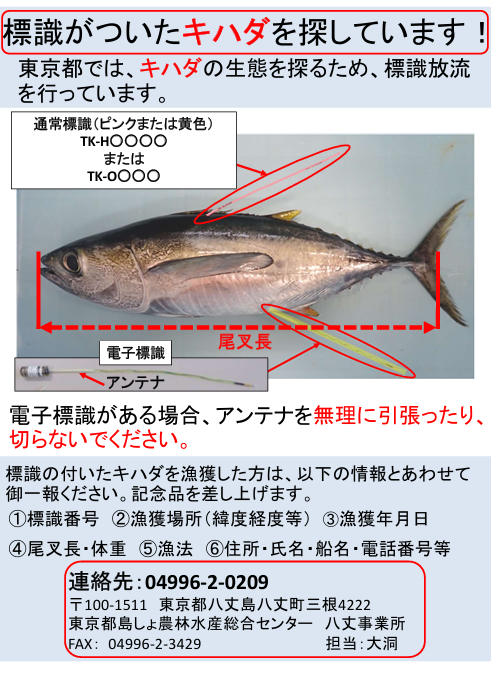 キハダ標識.PNG